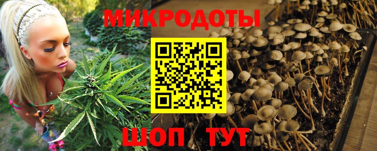 Мценск  Псилоцибиновые грибы Magic Shrooms  Псилоцибиновые грибы MAGIC MUSHROOMS  Вход с VPN 